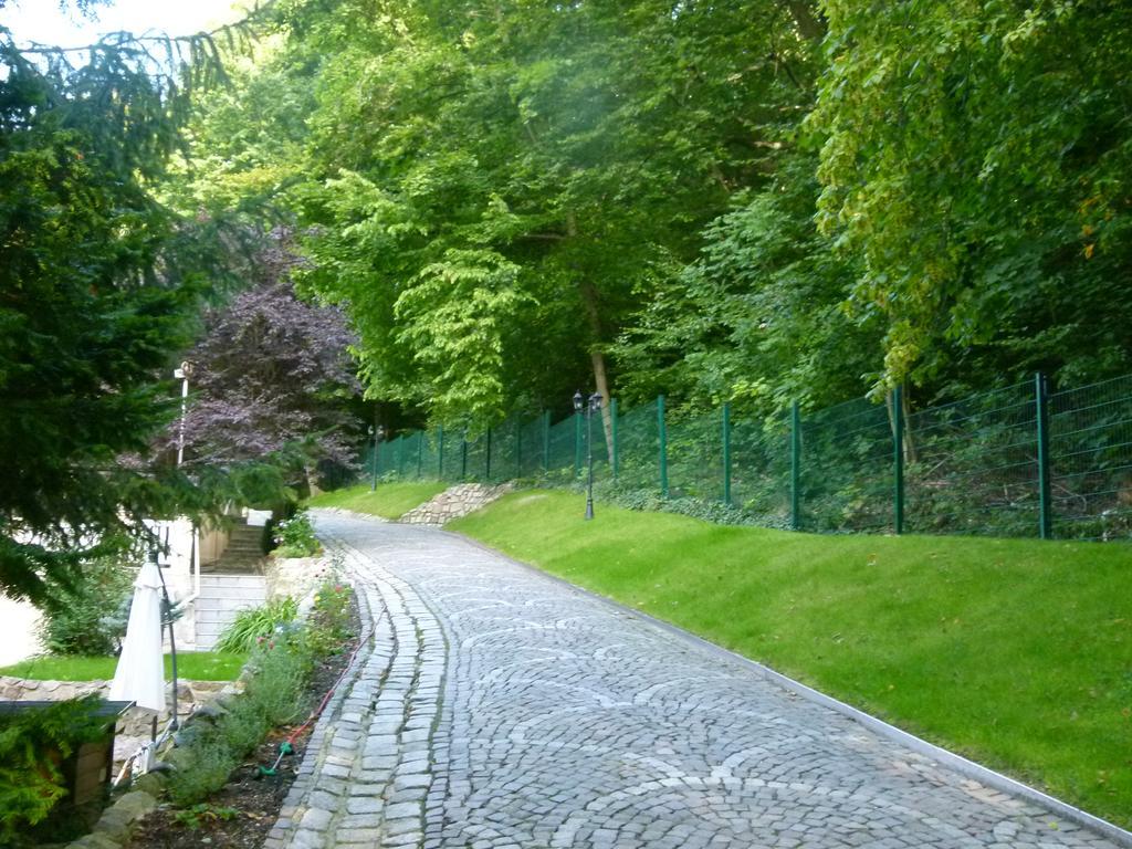 Villa Rosenburg Thale Eksteriør billede